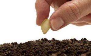 黑龍江嚴(yán)查非法轉(zhuǎn)基因種子：進(jìn)村入戶倒排倒查，不讓一粒下地