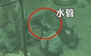 央視調查湖南婁底注水牛肉：三斤牛肉一斤水，邊注邊給牛按摩