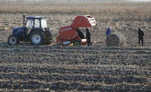 东北地区秸秆处理行动启动，确保综合利用率2020年超八成