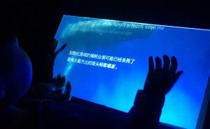 “上海種子”第二章開(kāi)幕，小野洋子《許愿樹(shù)》參展