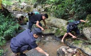 游客在西雙版納放生“生態(tài)殺手”鱷龜，涉嫌違法將被罰兩千