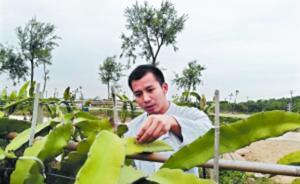 人大硕士珠海种地7年：希望儿子长大若成农民不被当“稀奇”