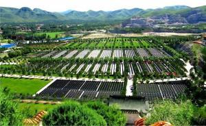 媒體調(diào)查炒墓：中心城市價格秒殺房價，陵園變“另類樓市”