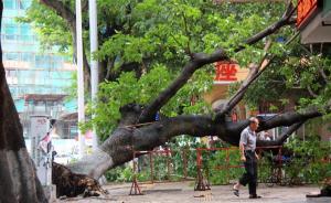 国家海洋环境预报中心：7月已进入拉尼娜状态，预计灾害偏多