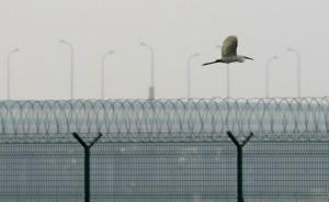 “民族資產(chǎn)解凍”數(shù)億騙局背后：集返利、傳銷、詐騙為一體