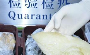 繼國航之后，南航3月1日起已全面停止魚翅貨物運輸