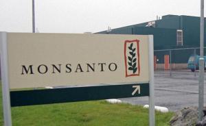 孟山都公司意大利中心遇袭起火，墙上被喷涂“不要转基因”