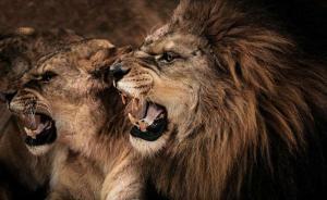 人民日報刊文：維護新疆和諧需要正義的“獅吼”