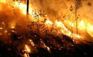 俄罗斯大火烧入内蒙古大兴安岭北部林区，千余人赴火场扑救