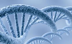 乙肝病毒“軟肋”被發(fā)現(xiàn)：宿主細胞自然分裂可擺脫病毒DNA