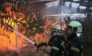 北京兩天接火警686起，其中近半因楊柳絮、樹木雜草等引發(fā)