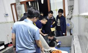 南京破獲特大網(wǎng)絡(luò)傳播淫穢視頻案：查2萬部視頻，刑拘12人