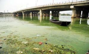 中国五大淡水湖生态“转势”艰难，富营养化渐趋“病入膏肓”