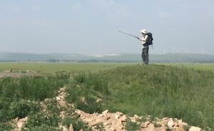 羅新︱走向金蓮川⑩：七月楊花滿路飛