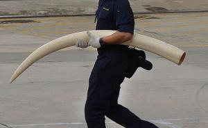 嫌疑人微信照片露馬腳，許昌警方破獲特大販賣野生動(dòng)物制品案