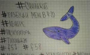 江蘇網(wǎng)警通報(bào)“藍(lán)鯨死亡游戲群”調(diào)查：責(zé)令三網(wǎng)民解散QQ群