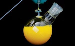 如何讓機(jī)器人靈活地抓東西？德美科學(xué)家向壁虎學(xué)習(xí)粘附法