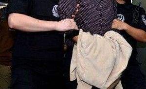 揭秘外逃貪官海外生活：有人整容，有人68天換29個(gè)身份