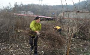 駐村扶貧干部群像掃描：幫扶到群眾心坎上，作村民脫貧主心骨