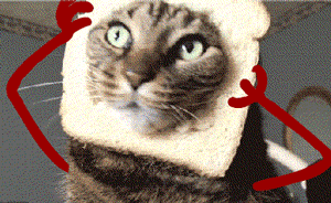 ​武汉一家长拒为孩子报名幼儿园活动，园方指责：你不配当妈