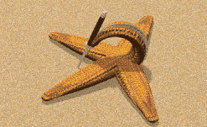 一男子狂划86辆车被抓，自称因四年买车买房摇号均未中泄愤