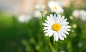 北京三年辦理侵害未成年人案1108件，性侵案件呈上升趨勢(shì)