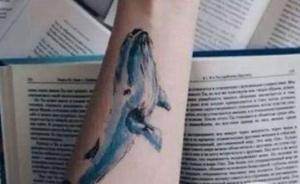 自杀游戏蓝鲸悄然蔓延，专家：折射一些青少年缺乏自我价值感