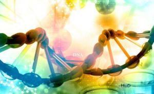 “基因魔剪”魔力不再？導(dǎo)致小鼠體內(nèi)數(shù)百個(gè)非目標(biāo)突變