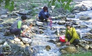 山西灵丘曲回寺村：在养殖脱贫和保护生态中寻找平衡