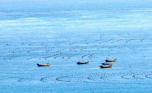 國家海洋局出臺建設項目用海面積控制指標：從嚴控制填海規(guī)模