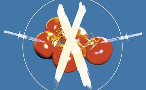 转基因争议中的伪命题和真命题