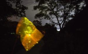 视频｜人工繁殖实为野外捕捉，浪漫经济却是萤火虫“七夕劫”