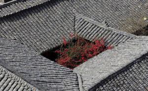 《旅游景區(qū)質(zhì)量等級(jí)評(píng)定管理辦法》廢止后，還評(píng)5A景區(qū)嗎？