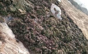 西安百亩耕地露天堆污泥，村民：吃饭像在厕所，呼吸都是折磨