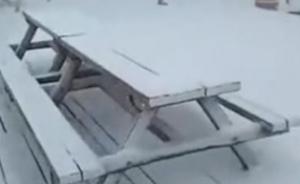 奇景！黑龙江五常凤凰山6月漫天飞雪