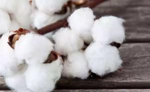 农业部发布转基因生物安全证书进口清单，含大豆、玉米、棉花