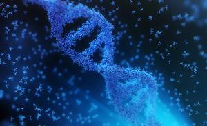 “基因魔剪引起突变”论战持续升温，专家：实验设计不够科学