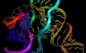 【砥礪奮進的五年】中國發(fā)現(xiàn)基因“暗物質”新功能：抗病毒