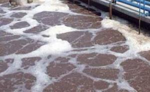 河北：5人向河套內(nèi)傾倒工業(yè)廢液時(shí)中毒死亡，被確定為刑案