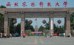 中央巡視反饋：西北農(nóng)林科技大學財務管理等領域廉潔風險較高