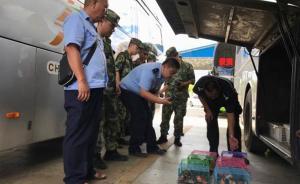 云南一客車偷運(yùn)逾百只蜜袋鼯被查，另類寵物或致生物入侵