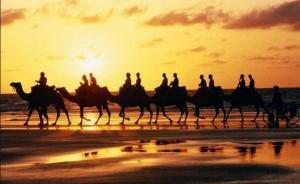 亞歐會(huì)議聚焦數(shù)字經(jīng)濟(jì)，亞洲國(guó)家盼“數(shù)字絲綢之路”紅利