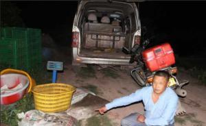 四川三男子捕获“癞蛤蟆”700余只，涉嫌非法狩猎被抓获