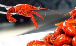 直播錄像丨探秘盱眙小龍蝦之鄉(xiāng)，看京滬夜市小龍蝦誰家強