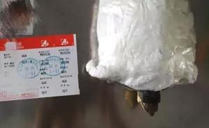 男子在裤裆藏龟欲混过机场安检被查获：乌龟包裹严实只露脑袋