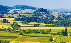 如何形成農業“附加值鏈”？德國人想到了這個辦法