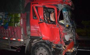 西双版纳高速野象撞货车：车爆胎1人受伤，警方搜索肇事大象