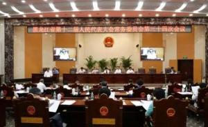 黑龙江省委常委贾玉梅兼任副省长，魏新刚任省卫计委主任