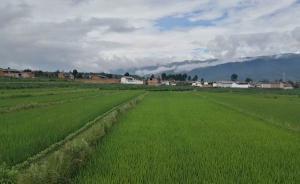 梅雨時(shí)節(jié)說(shuō)“瘴氣”：中國(guó)最早的地圖炮？