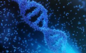 外企在華申請(qǐng)“基因魔剪”專(zhuān)利獲批，張鋒11項(xiàng)專(zhuān)利仍待審